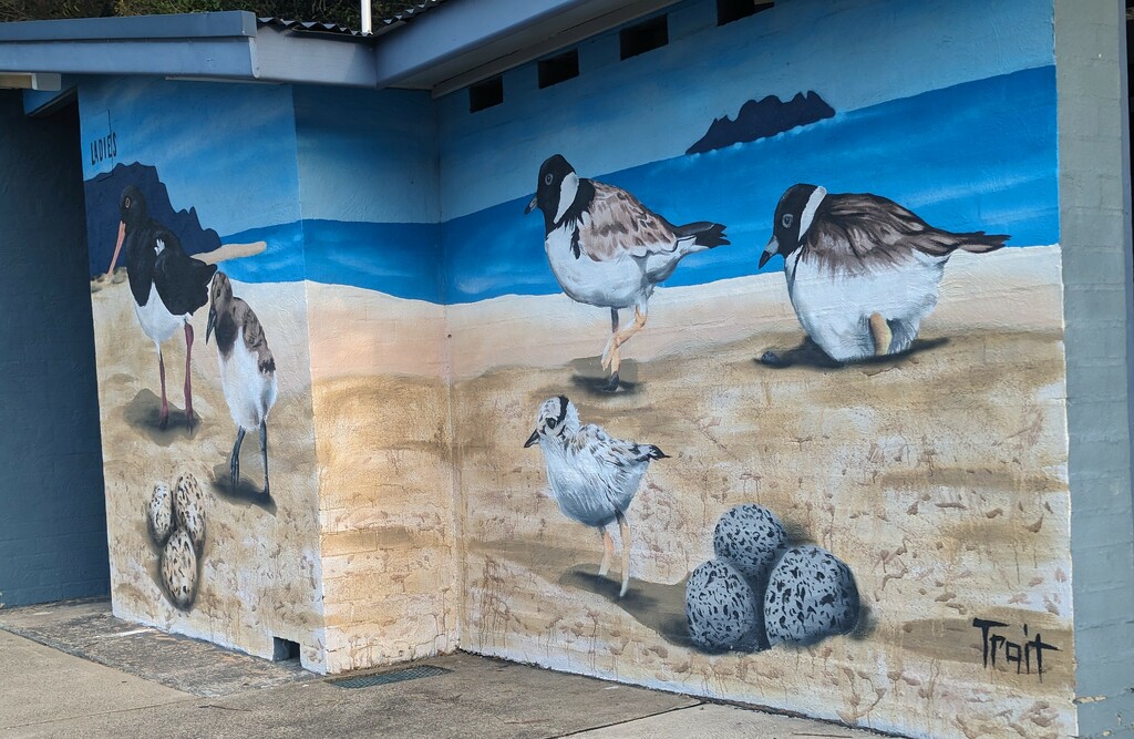 Birds Wall Mural  by elf
