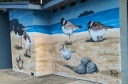 12th Sep 2023 - Birds Wall Mural 