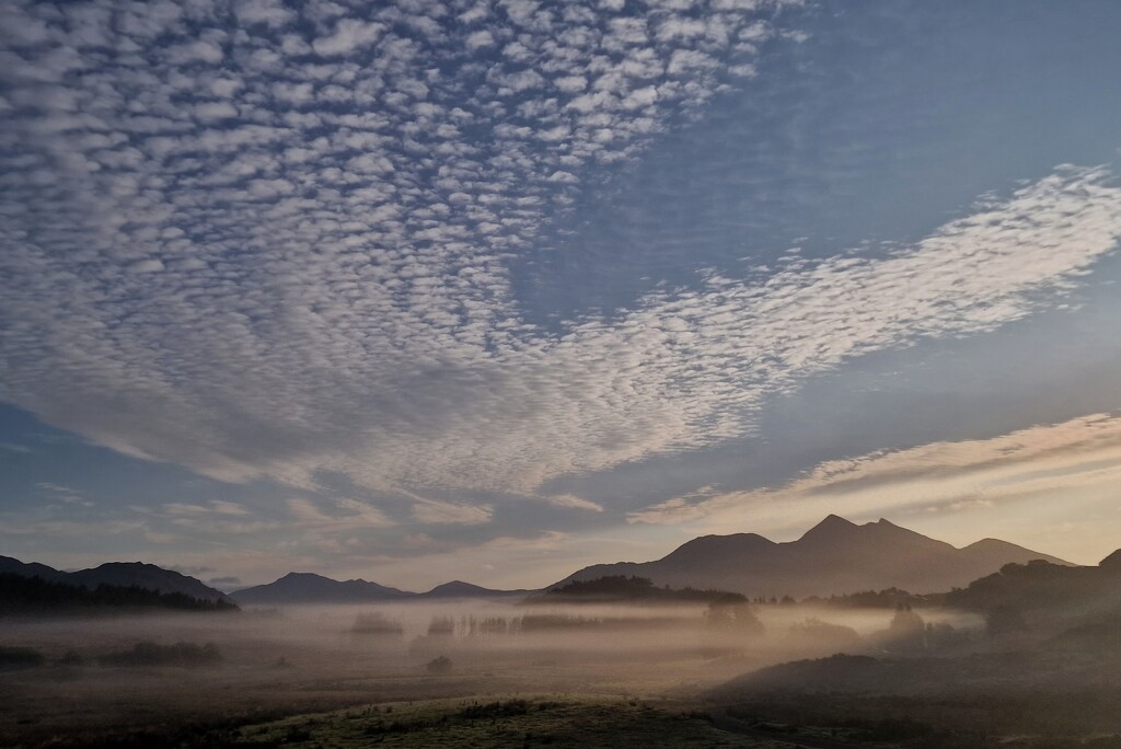 misty morning by christophercox