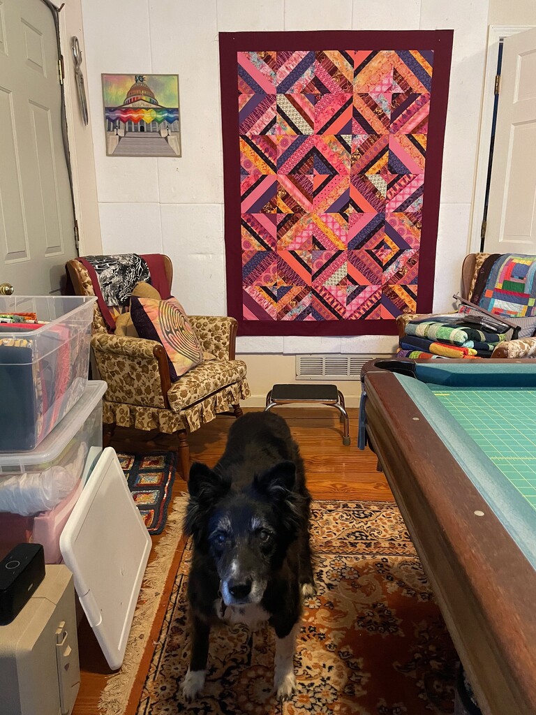 Another "free fabric" quilt done by margonaut