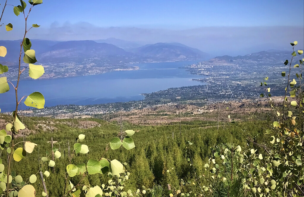 Looking down on Kelowna by kiwichick