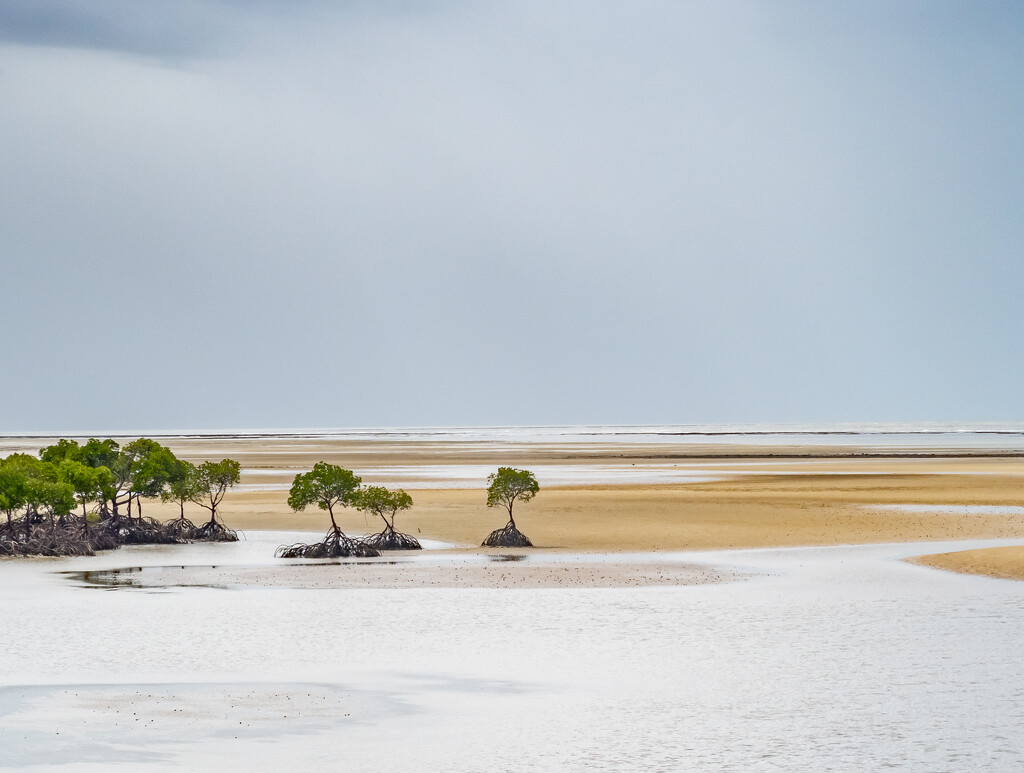 Low tide outside Port Douglas  by creative_shots