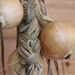 Hanging the Onions by jamibann