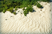 13th Sep 2023 - windswept sand