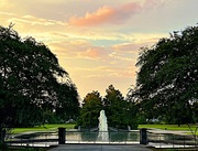 13th Sep 2023 - Hampton Park at sunset