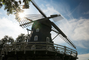 19th Aug 2023 - Malmö Windmill