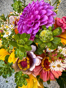 13th Sep 2023 - Late Summer Bouquet