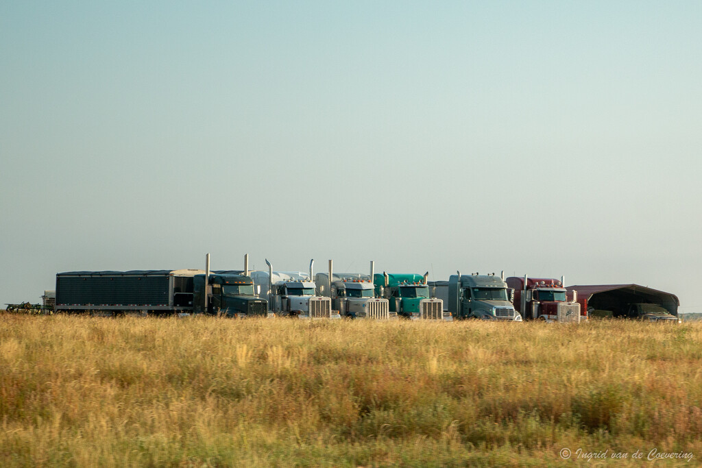 Trucks! by ingrid01