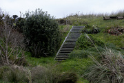 14th Sep 2023 - Stairs to the beach