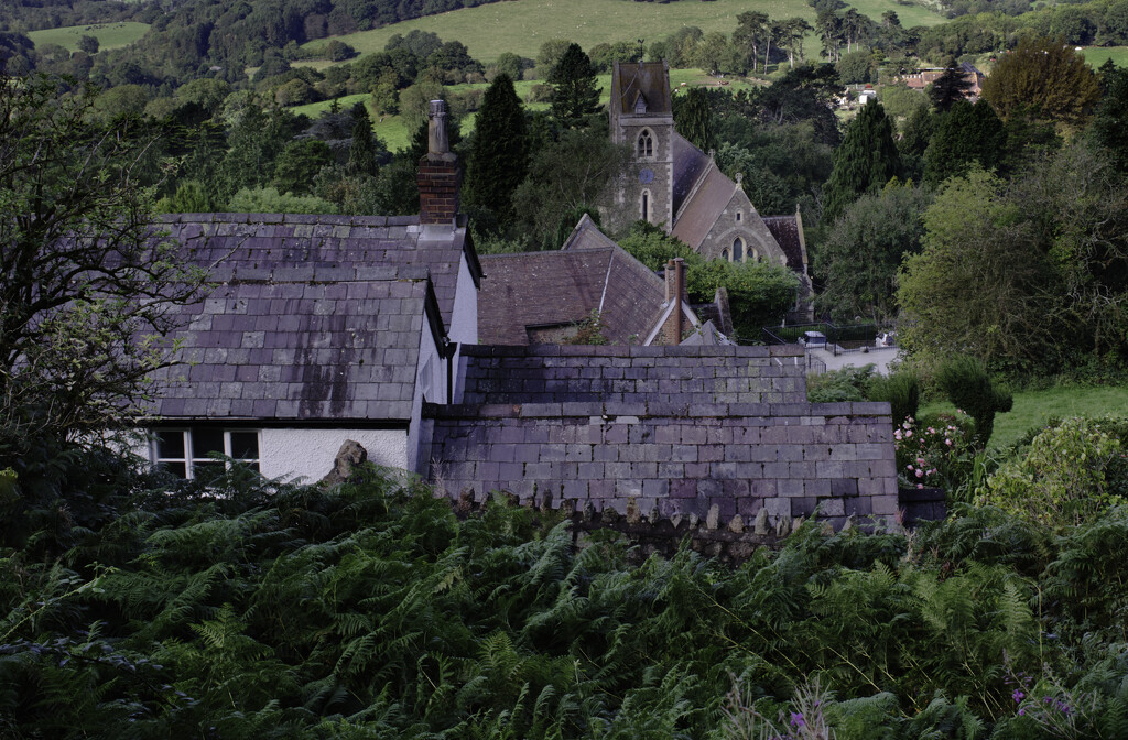 Rooftops by sjoyce