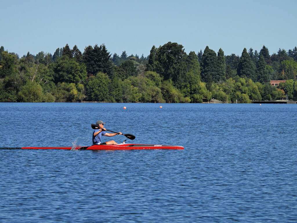 Rower by seattlite