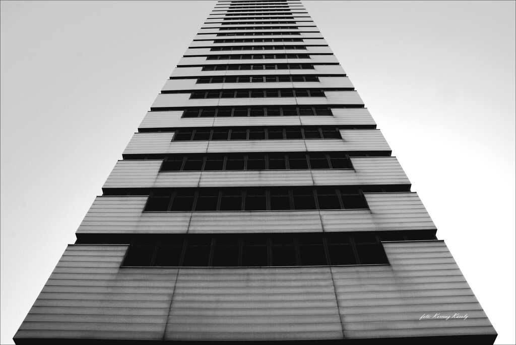 Tall house by kork