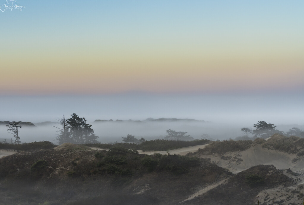 Dawn Fog Over the Dunes by jgpittenger