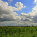 Sky and country view on an ordinairy day  by pyrrhula