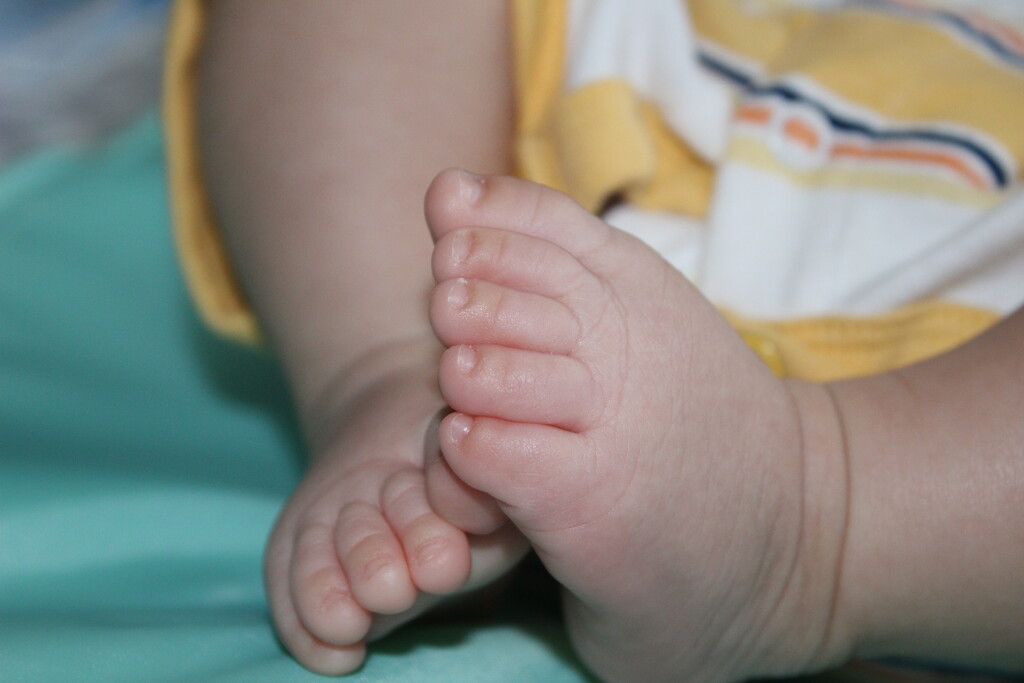 Tiny toes by jb030958