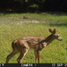 Caught on camera...