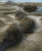 15th Sep 2023 - Minus Tide ~ Oregon Coast