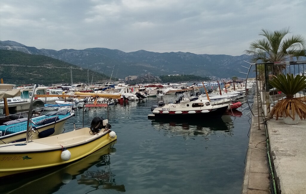 Budva Harbour, Montenegro  by g3xbm