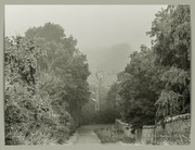 15th Sep 2023 - Foggy Morning