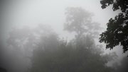 15th Sep 2023 - Fog