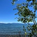 A beautiful day at Lake Tahoe