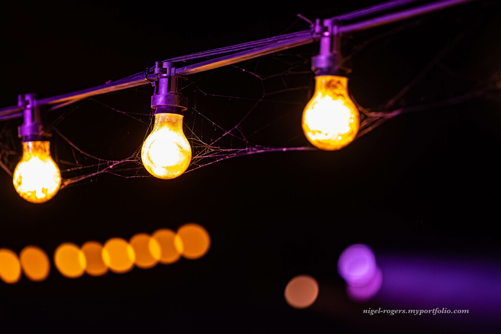 Lights and spiders webs by nigelrogers