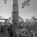 Smokestack