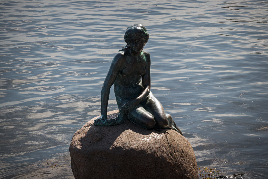 The Little Mermaid by swchappell