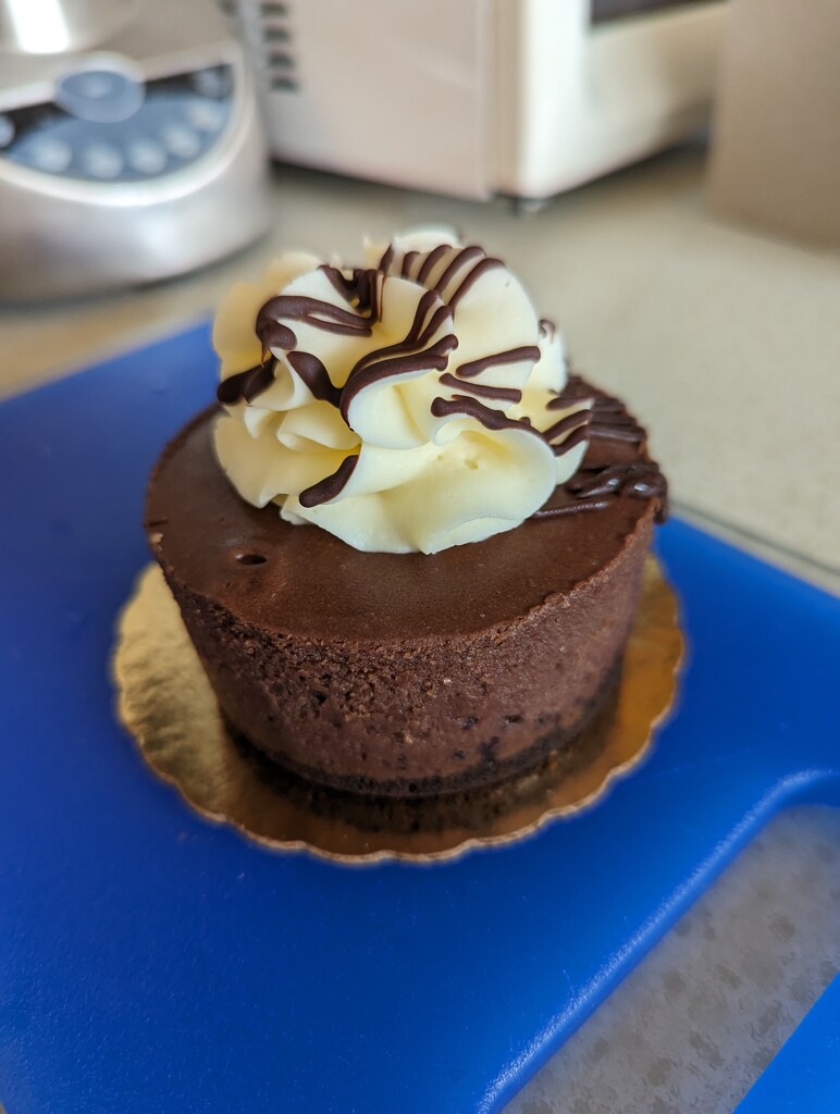 Chocolate Cheesecake  by kathybc