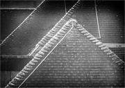 16th Sep 2023 - Roof lines