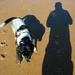 Me and my shadows!!!