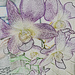 Purple and white orchid artistic