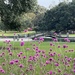 An afternoon at the park
