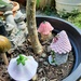 Fairy Garden 🧚‍♀️ 