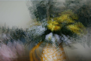 14th Sep 2023 - Multiple exposure: Yellow