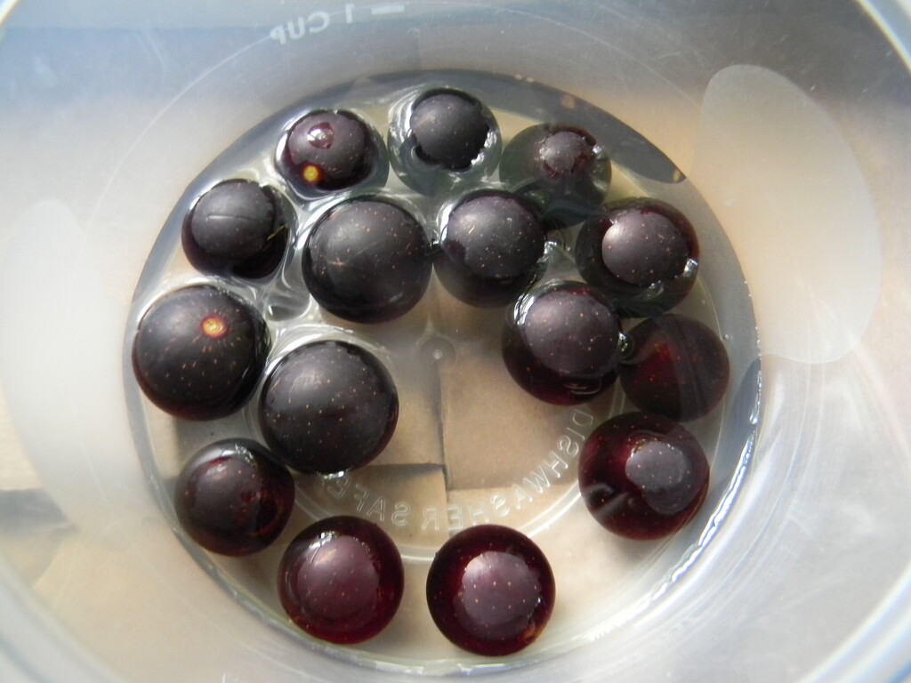 Bowl of Grapes  by sfeldphotos