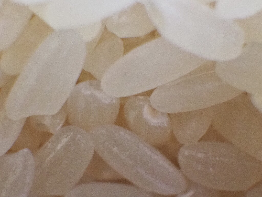 Macro of rice by Dawn