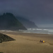 Warmth Against the Chill ~ Neskowin, Oregon