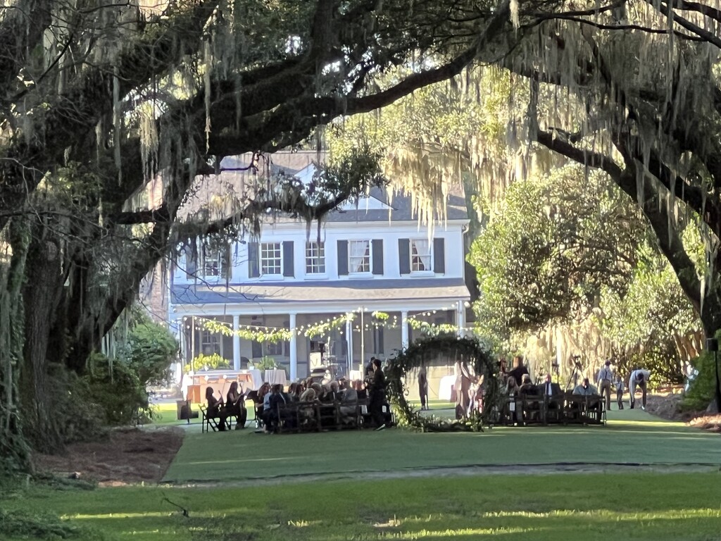 Wedding under the oaks  by congaree