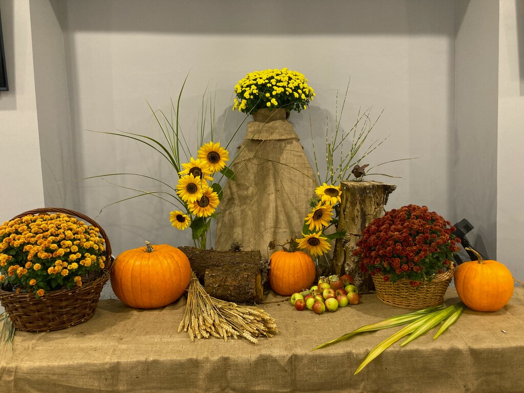 Harvest Service by 365anne