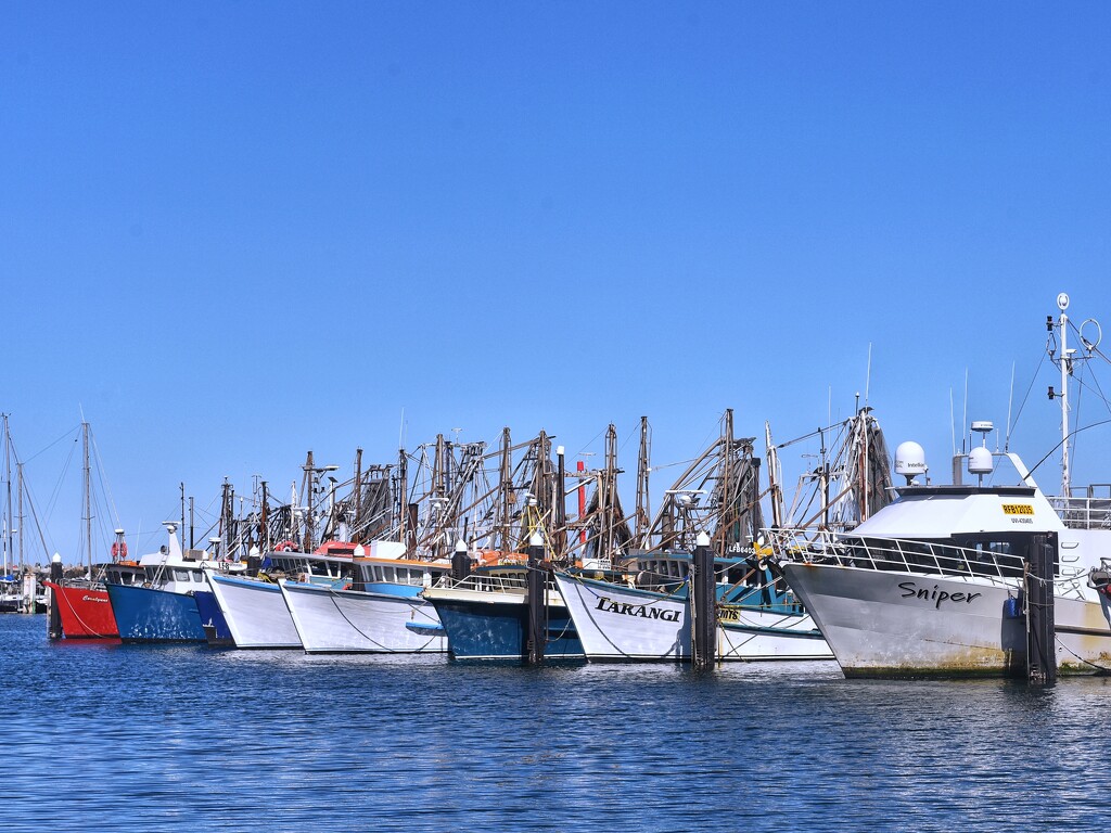 Part of Coffs Harbour fishing fleet.  by johnfalconer