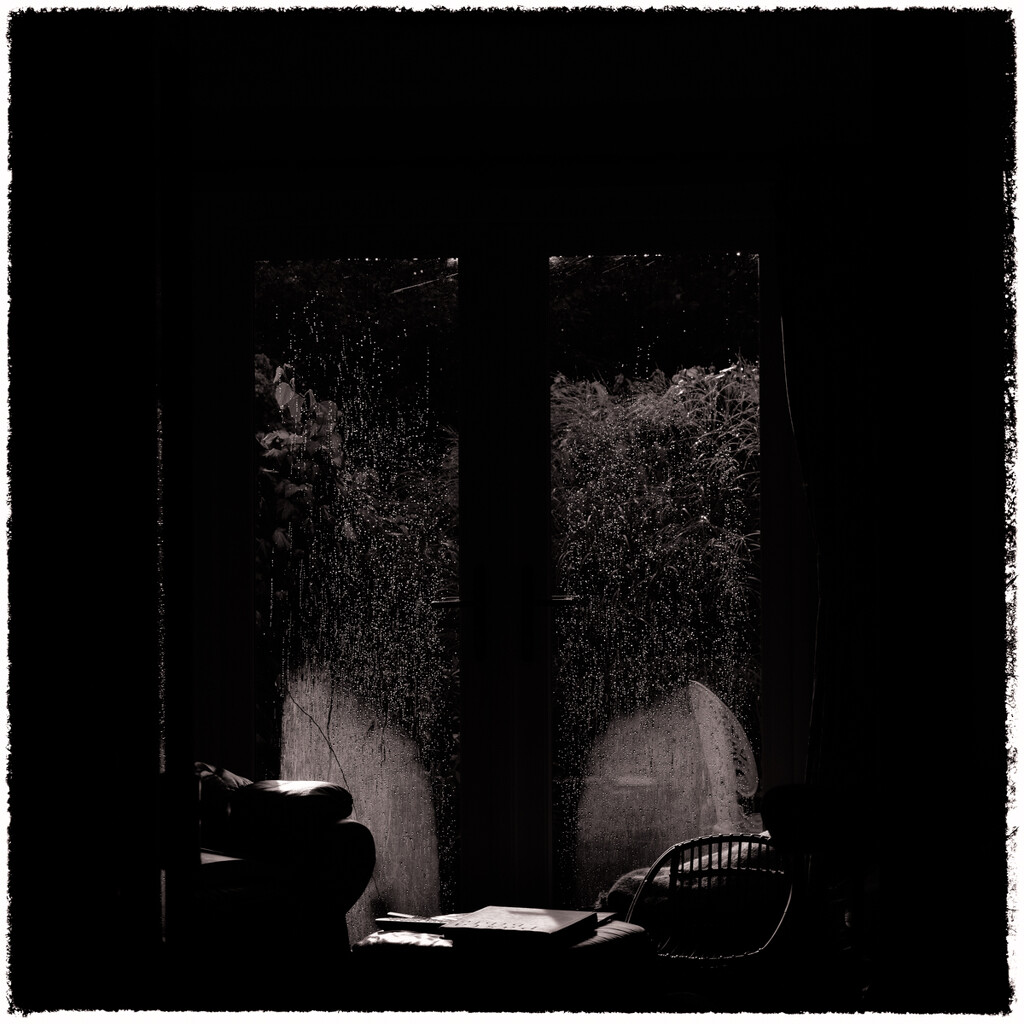 18 - Maddy Pennock - Morning Light, Raindrops and Reflections by marshwader