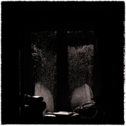 18th Sep 2023 - 18 - Maddy Pennock - Morning Light, Raindrops and Reflections