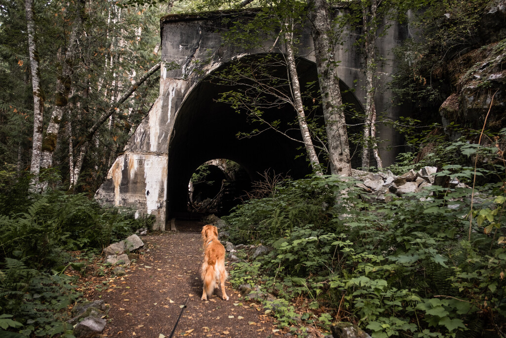 A Historic Trail by tina_mac