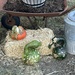 Gourds by bellasmom
