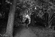 18th Sep 2023 - Strolling through the trees 