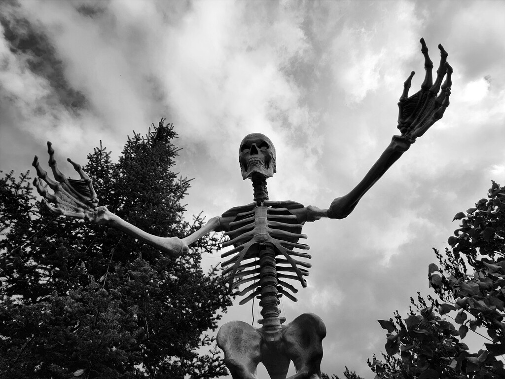 Maurading skeleton by ljmanning