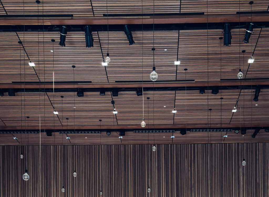 Pendant lamps and hemlock by cristinaledesma33