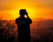 18th Sep 2023 - Forest Lover at Sunset