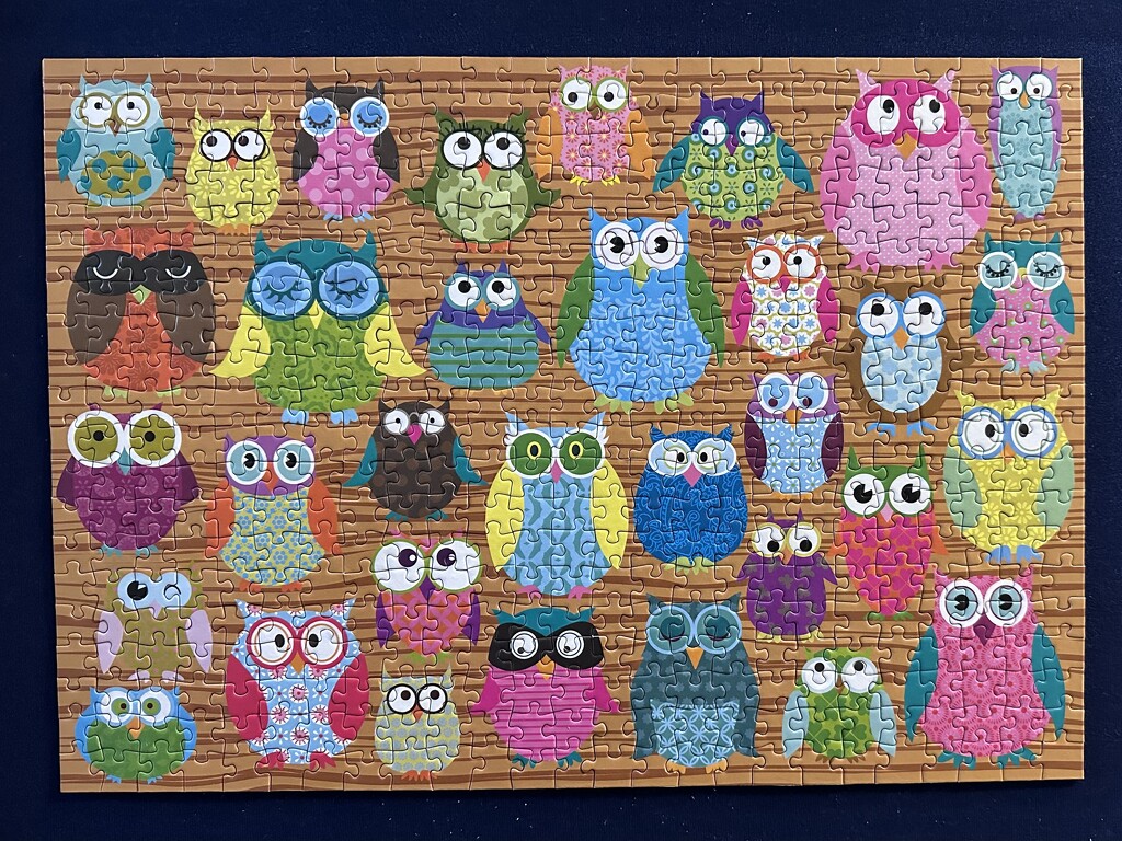 Owls by kjarn